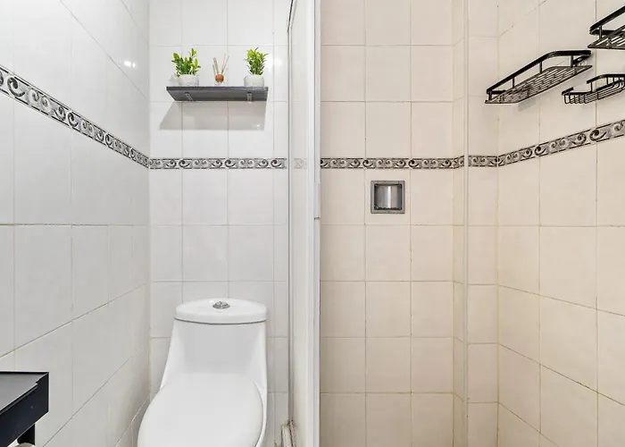 Spacious For 6 San Simon Apartment Mexico City
